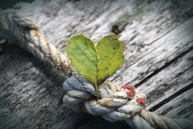 hankkeen-paatosviestiin-4237989